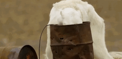 ΢ͼƬ_20190920143329.gif
