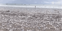 ΢ͼƬ_20190920143407.gif
